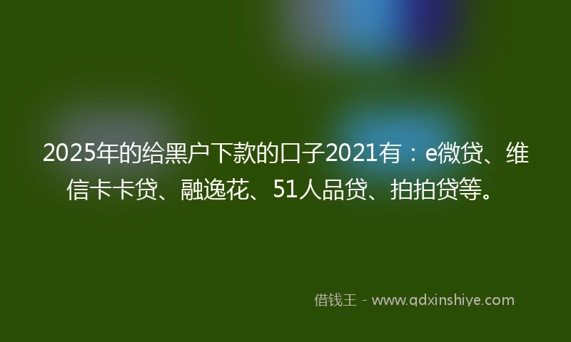 2025年的给黑户下款的口子2021有：e微贷、维信卡卡贷、融逸花、51人品贷、拍拍贷等。