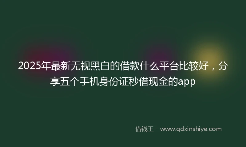 2025年最新无视黑白的借款什么平台比较好，分享五个手机身份证秒借现金的app