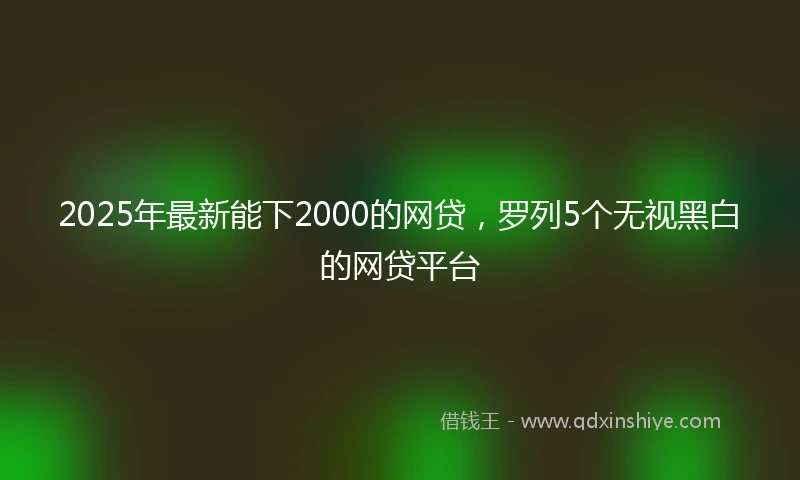 2025年最新能下2000的网贷,罗列5个无视黑白的网贷平台