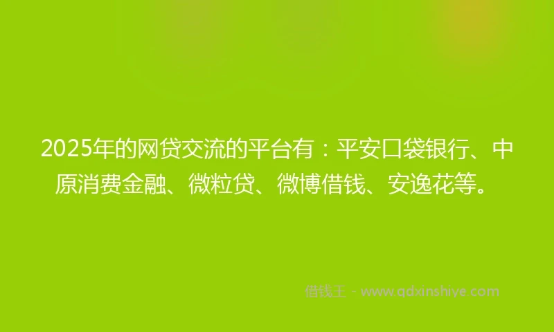 2025年的网贷交流的平台有：平安口袋银行、中原消费金融、微粒贷、微博借钱、安逸花等。