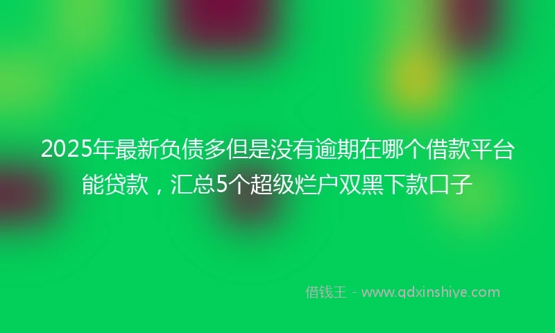 2025年最新负债多但是没有逾期在哪个借款平台能贷款，汇总5个超级烂户双黑下款口子
