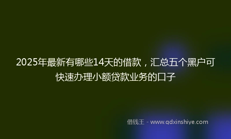 2025年最新有哪些14天的借款，汇总五个黑户可快速办理小额贷款业务的口子