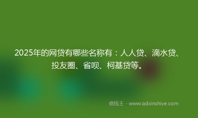 2025年的网贷有哪些名称有：人人贷、滴水贷、投友圈、省呗、柯基贷等。