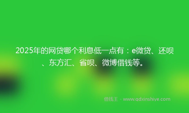 2025年的网贷哪个利息低一点有：e微贷、还呗、东方汇、省呗、微博借钱等。