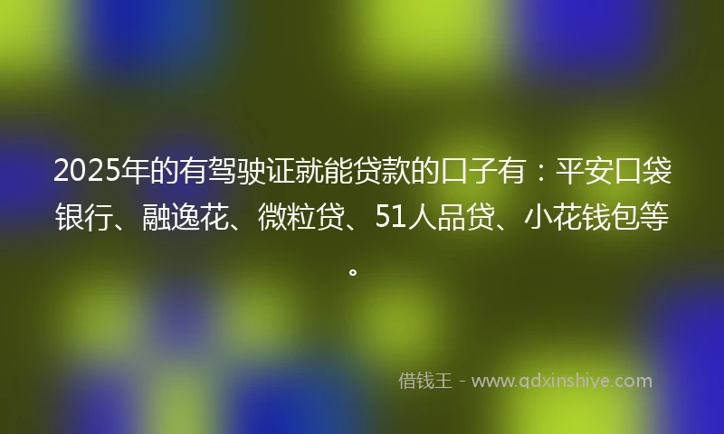 2025年的有驾驶证就能贷款的口子有：平安口袋银行、融逸花、微粒贷、51人品贷、小花钱包等。