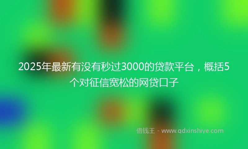 2025年最新有没有秒过3000的贷款平台，概括5个对征信宽松的网贷口子