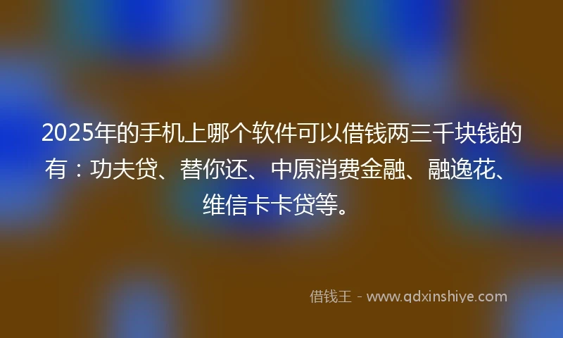 2025年的手机上哪个软件可以借钱两三千块钱的有：功夫贷、替你还、中原消费金融、融逸花、维信卡卡贷等。