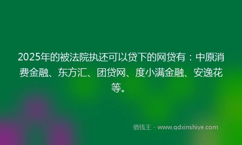 2025年的被法院执还可以贷下的网贷有:中原消费金融、东方汇、团贷网、度小满金融、安逸花等。