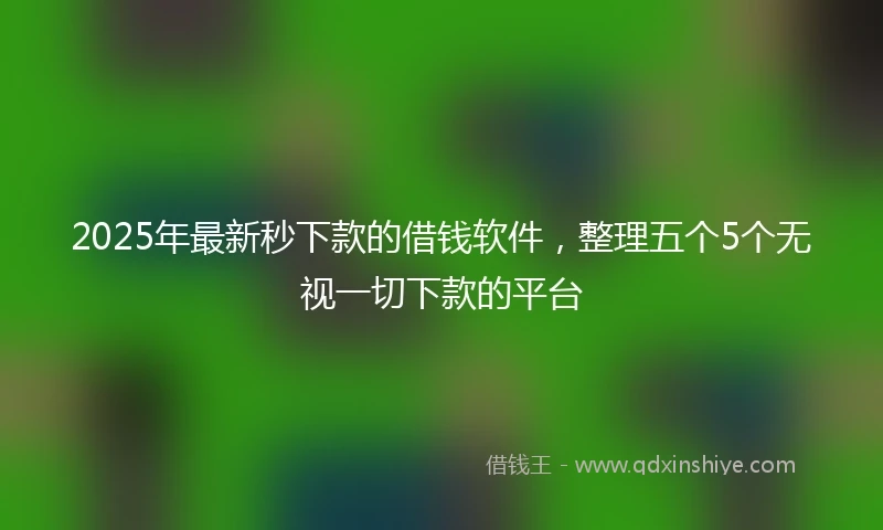 2025年最新秒下款的借钱软件，整理五个5个无视一切下款的平台