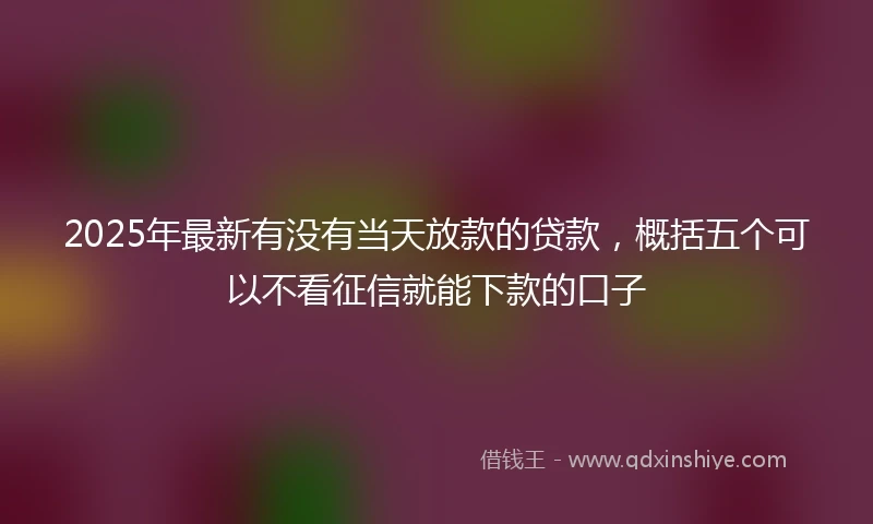 2025年最新有没有当天放款的贷款，概括五个可以不看征信就能下款的口子