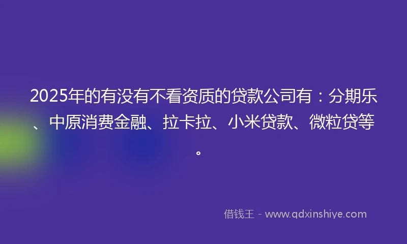 2025年的有没有不看资质的贷款公司有：分期乐、中原消费金融、拉卡拉、小米贷款、微粒贷等。