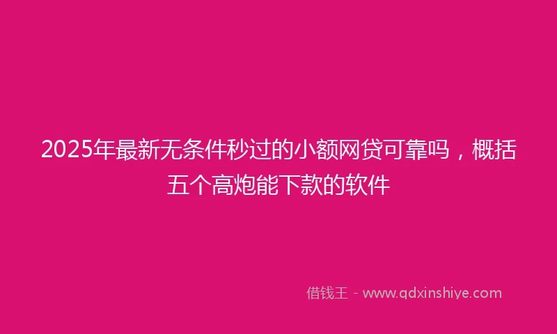 2025年最新无条件秒过的小额网贷可靠吗，概括五个高炮能下款的软件