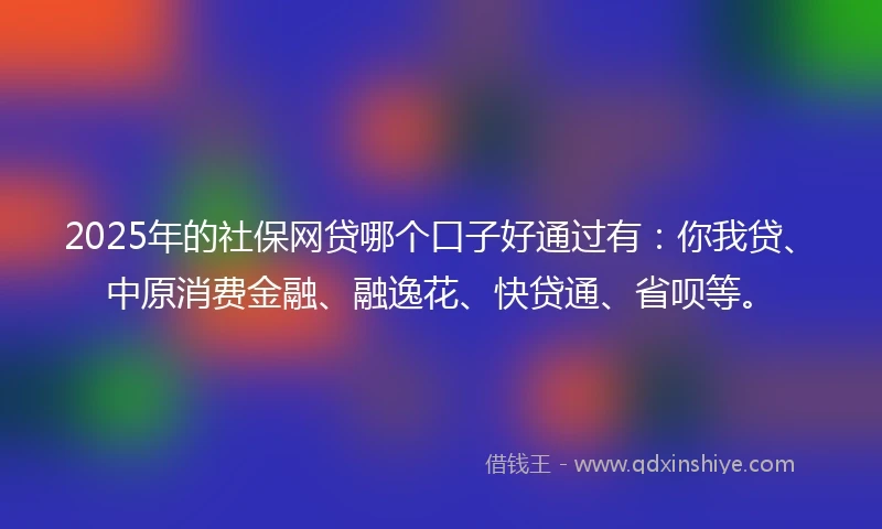 2025年的社保网贷哪个口子好通过有：你我贷、中原消费金融、融逸花、快贷通、省呗等。