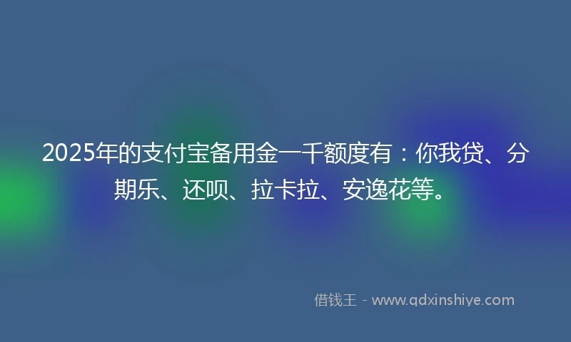 2025年的支付宝备用金一千额度有：你我贷、分期乐、还呗、拉卡拉、安逸花等。