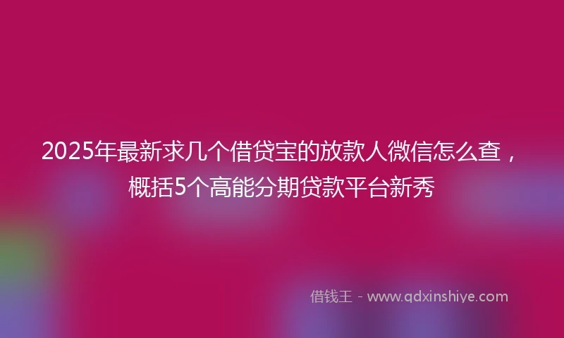 2025年最新求几个借贷宝的放款人微信怎么查，概括5个高能分期贷款平台新秀