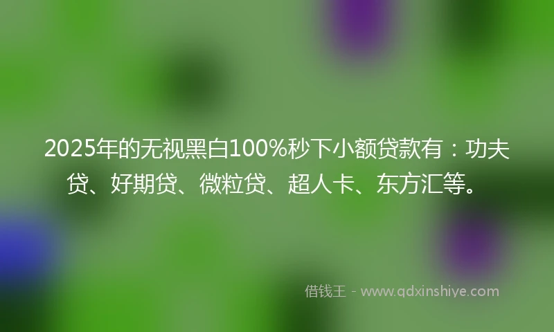 2025年的无视黑白100%秒下小额贷款有：功夫贷、好期贷、微粒贷、超人卡、东方汇等。
