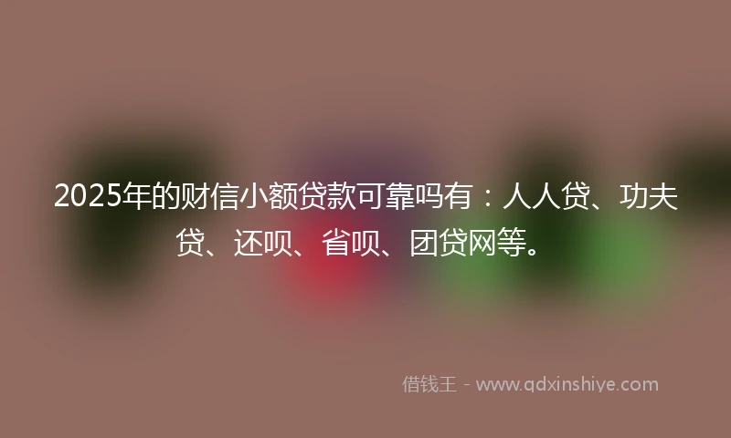 2025年的财信小额贷款可靠吗有：人人贷、功夫贷、还呗、省呗、团贷网等。