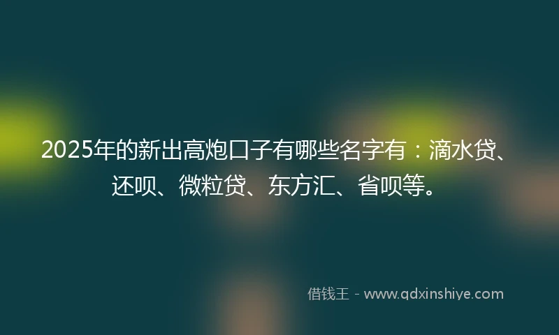 2025年的新出高炮口子有哪些名字有：滴水贷、还呗、微粒贷、东方汇、省呗等。
