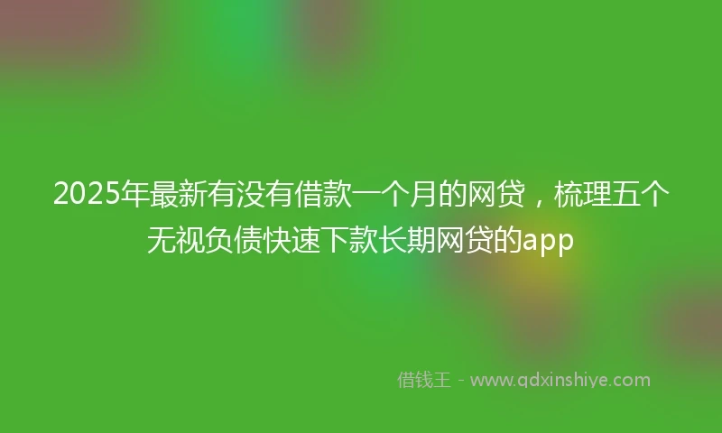 2025年最新有没有借款一个月的网贷，梳理五个无视负债快速下款长期网贷的app