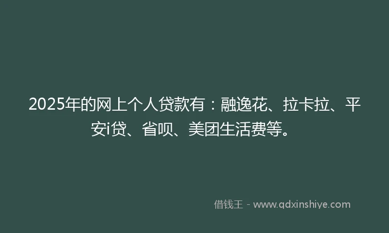 2025年的网上个人贷款有：融逸花、拉卡拉、平安i贷、省呗、美团生活费等。
