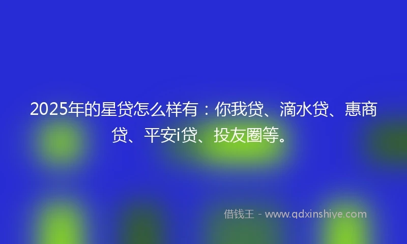 2025年的星贷怎么样有：你我贷、滴水贷、惠商贷、平安i贷、投友圈等。