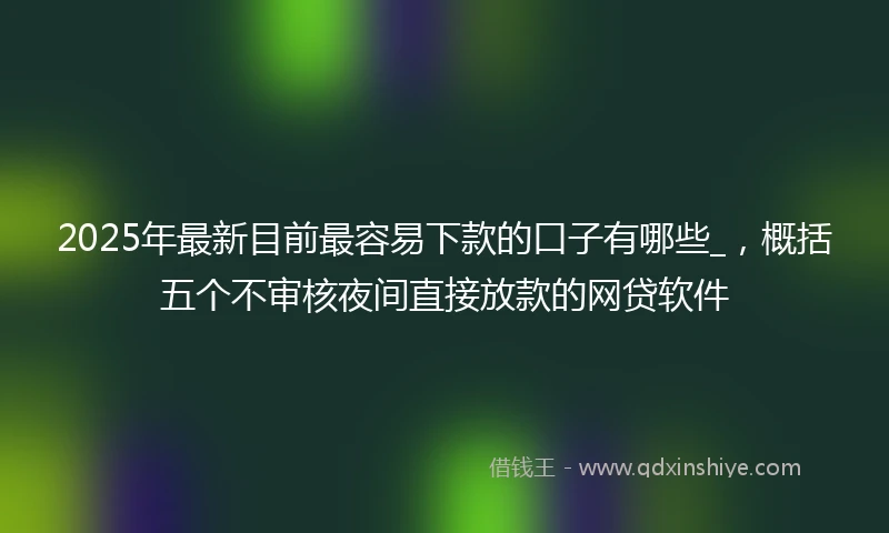 2025年最新目前最容易下款的口子有哪些_，概括五个不审核夜间直接放款的网贷软件