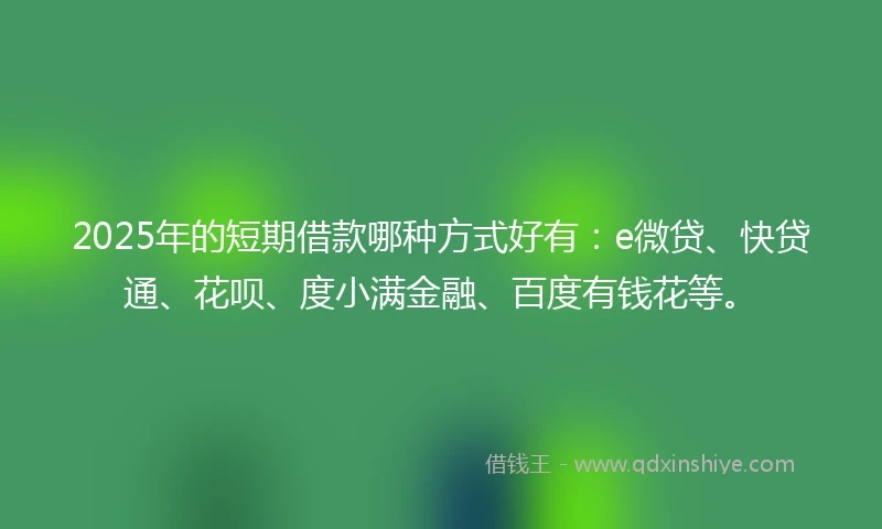 2025年的短期借款哪种方式好有：e微贷、快贷通、花呗、度小满金融、百度有钱花等。