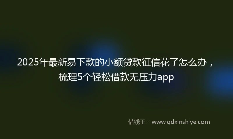 2025年最新易下款的小额贷款征信花了怎么办，梳理5个轻松借款无压力app