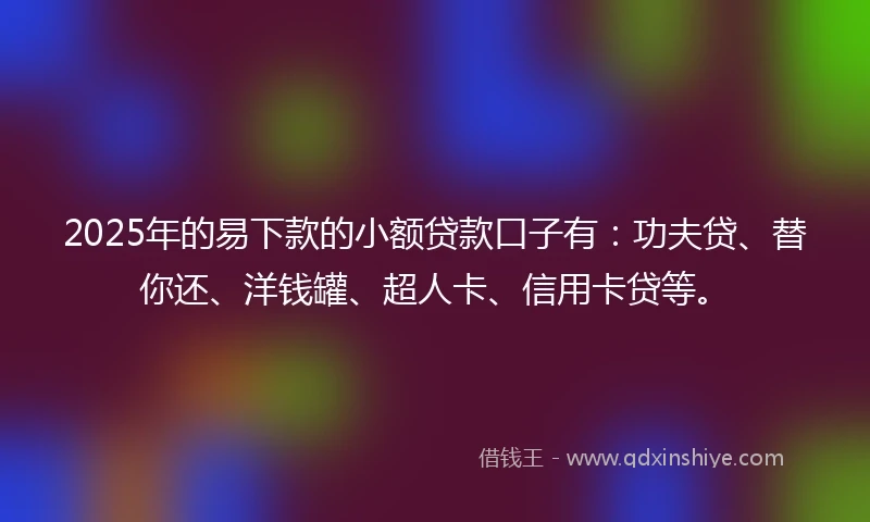 2025年的易下款的小额贷款口子有:功夫贷、替你还、洋钱罐、超人卡、信用卡贷等。