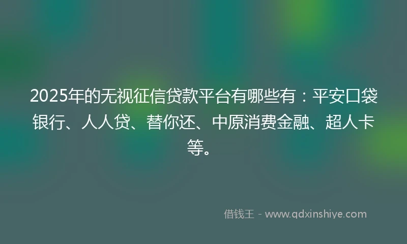 2025年的无视征信贷款平台有哪些有：平安口袋银行、人人贷、替你还、中原消费金融、超人卡等。