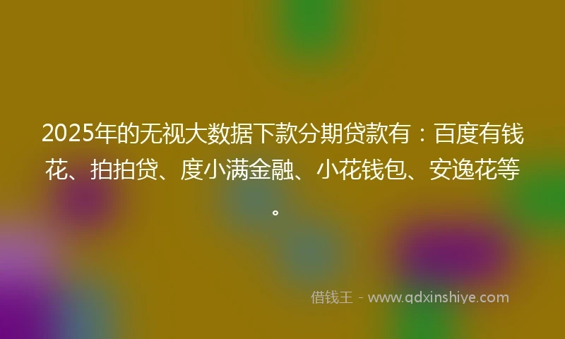 2025年的无视大数据下款分期贷款有：百度有钱花、拍拍贷、度小满金融、小花钱包、安逸花等。
