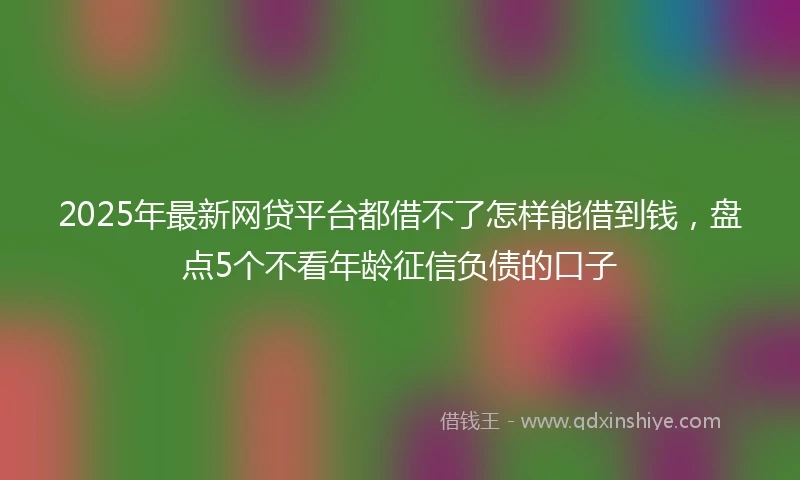 2025年最新网贷平台都借不了怎样能借到钱，盘点5个不看年龄征信负债的口子