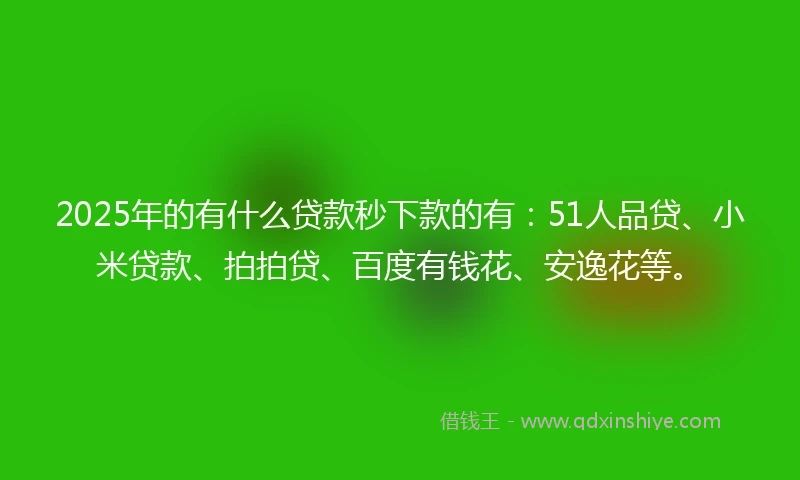 2025年的有什么贷款秒下款的有：51人品贷、小米贷款、拍拍贷、百度有钱花、安逸花等。