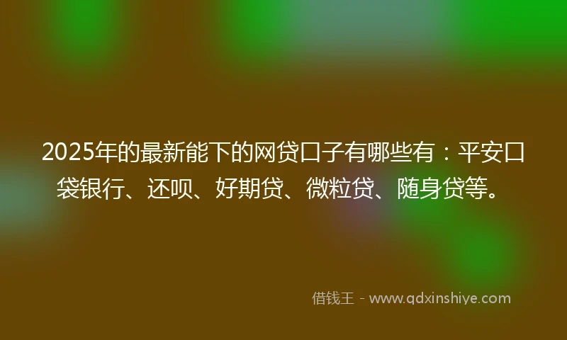 2025年的最新能下的网贷口子有哪些有：平安口袋银行、还呗、好期贷、微粒贷、随身贷等。