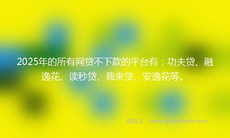 2025年的所有网贷不下款的平台有：功夫贷、融逸花、读秒贷、我来贷、安逸花等。
