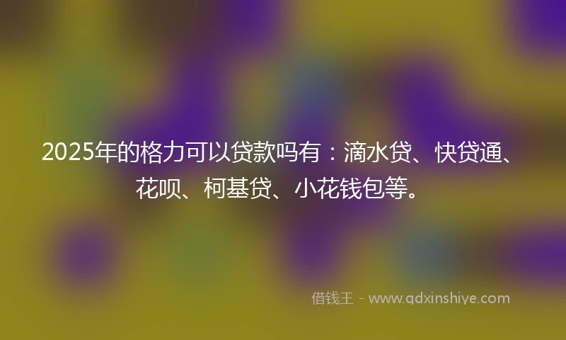 2025年的格力可以贷款吗有：滴水贷、快贷通、花呗、柯基贷、小花钱包等。