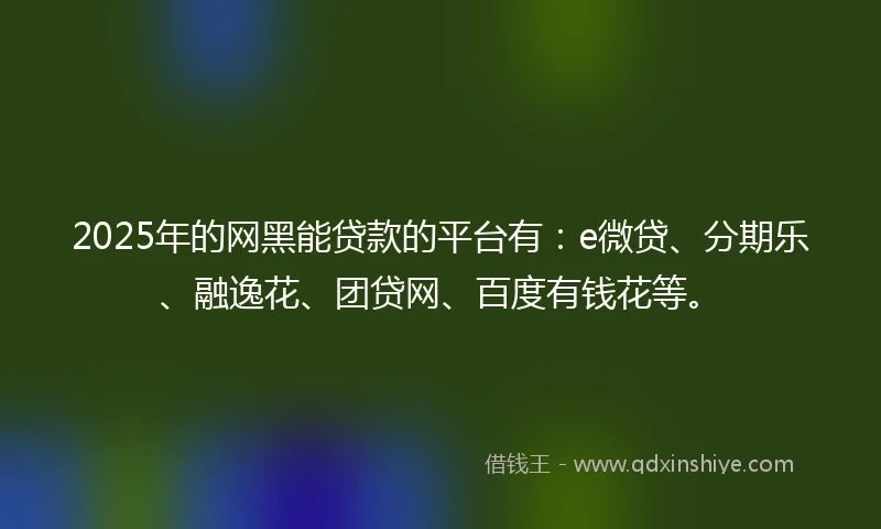 2025年的网黑能贷款的平台有：e微贷、分期乐、融逸花、团贷网、百度有钱花等。
