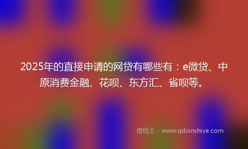 2025年的直接申请的网贷有哪些有：e微贷、中原消费金融、花呗、东方汇、省呗等。