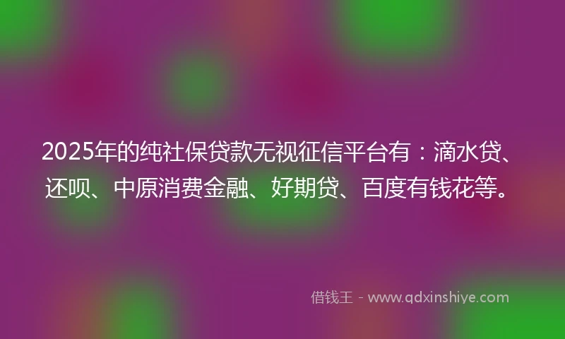 2025年的纯社保贷款无视征信平台有：滴水贷、还呗、中原消费金融、好期贷、百度有钱花等。