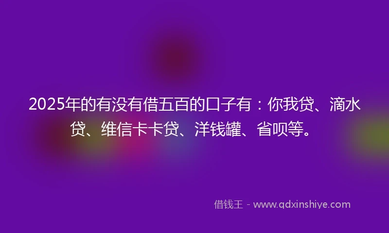 2025年的有没有借五百的口子有：你我贷、滴水贷、维信卡卡贷、洋钱罐、省呗等。