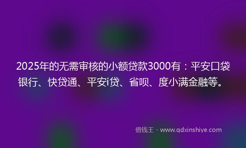 2025年的无需审核的小额贷款3000有：平安口袋银行、快贷通、平安i贷、省呗、度小满金融等。
