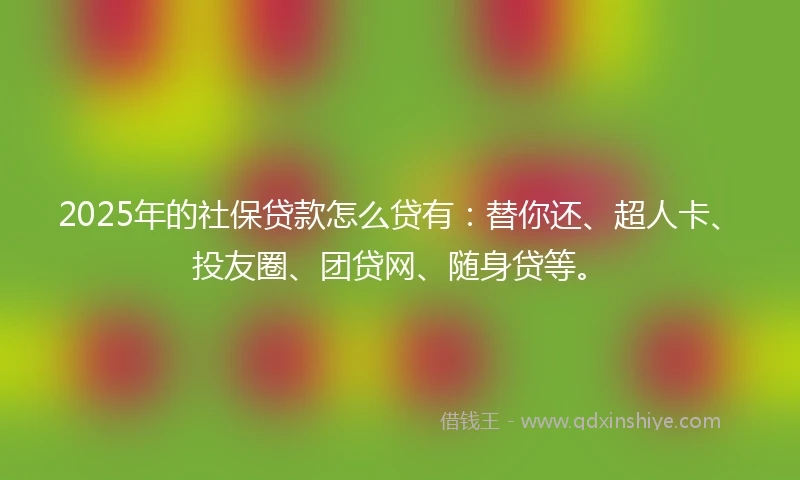 2025年的社保贷款怎么贷有：替你还、超人卡、投友圈、团贷网、随身贷等。