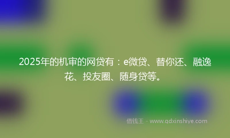 2025年的机审的网贷有：e微贷、替你还、融逸花、投友圈、随身贷等。