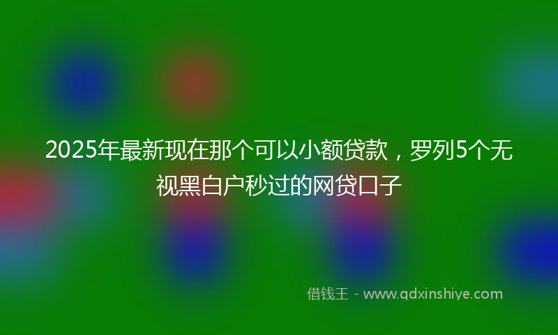 2025年最新现在那个可以小额贷款，罗列5个无视黑白户秒过的网贷口子