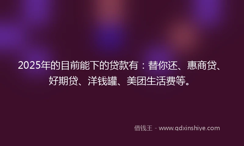 2025年的目前能下的贷款有：替你还、惠商贷、好期贷、洋钱罐、美团生活费等。