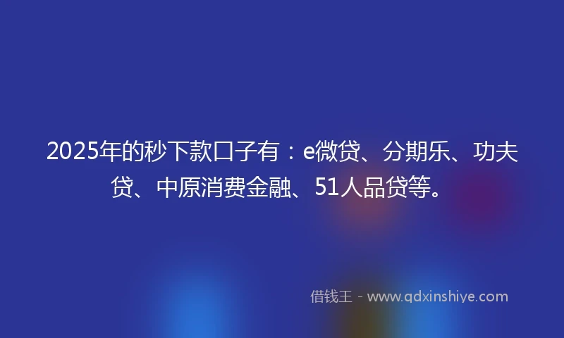 2025年的秒下款口子有：e微贷、分期乐、功夫贷、中原消费金融、51人品贷等。