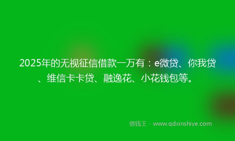 2025年的无视征信借款一万有：e微贷、你我贷、维信卡卡贷、融逸花、小花钱包等。