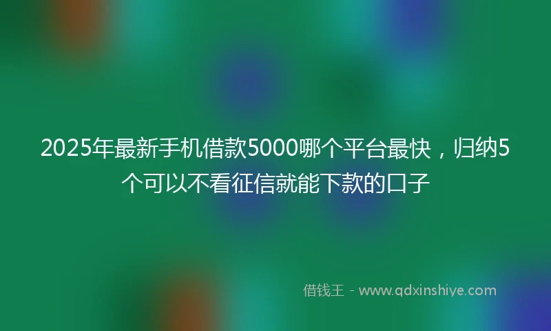 2025年最新手机借款5000哪个平台最快，归纳5个可以不看征信就能下款的口子