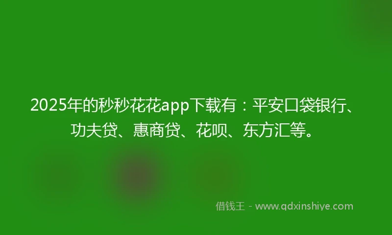 2025年的秒秒花花app下载有：平安口袋银行、功夫贷、惠商贷、花呗、东方汇等。