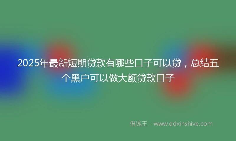 2025年最新短期贷款有哪些口子可以贷，总结五个黑户可以做大额贷款口子